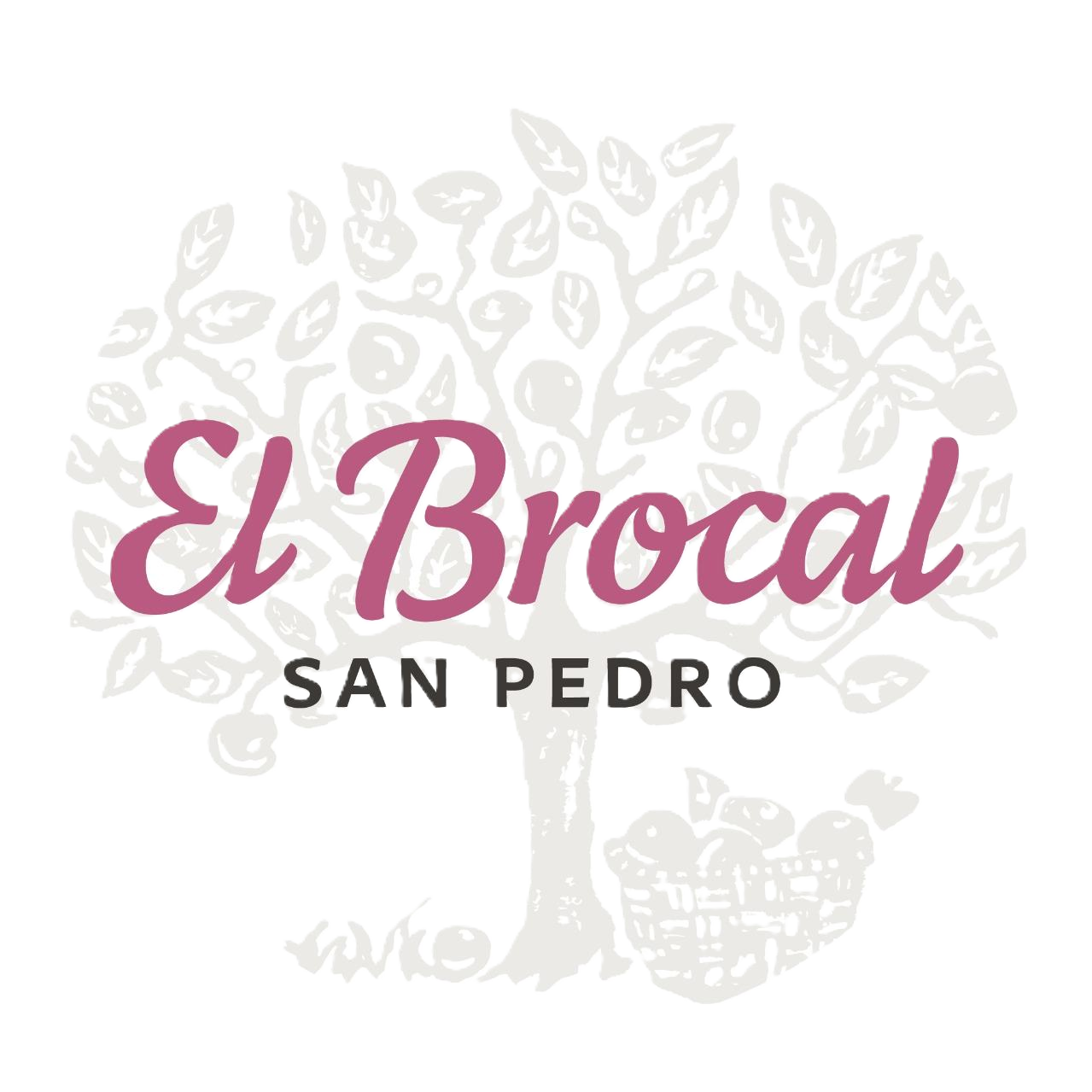 El Brocal de San Pedro